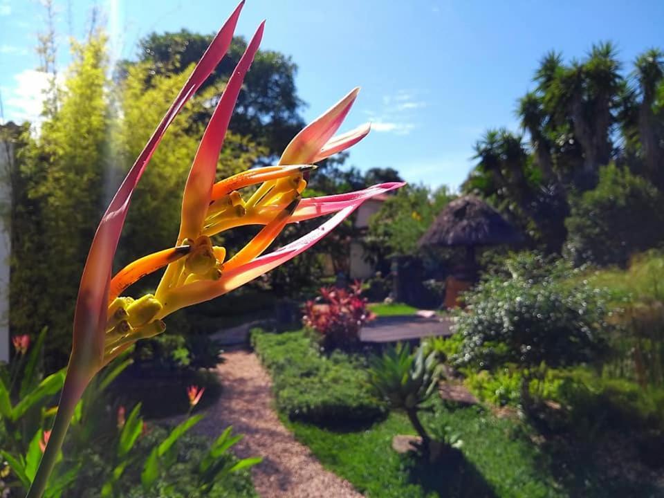 Pousada Paralelo 14 Alto Paraíso de Goiás Eksteriør bilde